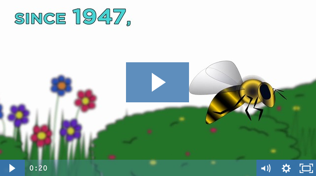 Animations: New Jersey Institute of Technology and Bees